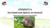 Интересные факты из жизни ежей