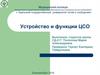 Устройство и функции ЦСО