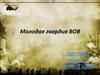 Молодая гвардия - антифашистская комсомольская организация, действовавшая в годы Великой Отечественной войны
