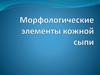 Морфологические элементы кожной сыпи