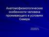 Анатомо-физиологические особенности человека проживающего в условиях Севера