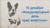 Международный день прав животных