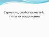 Строение, свойства костей, типы их соединения