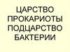 Царство прокариоты подцарство бактерии