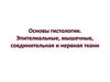 Основы гистологии. Эпителиальные, мышечные, соединительная и нервная ткани