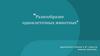 Разнообразие одноклеточных животных. 5 класс