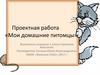Проектная работа «Мои домашние питомцы». 1 класс