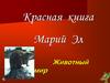 Красная книга Марий Эл. Животный мир