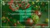 Отчет по работе Студенческого комитета ДС МГУ
