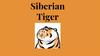 Siberian Tiger