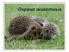 Охрана животных