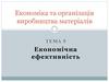 Економіка та організація виробництва матеріалів. Тема 5. Економічна ефективність