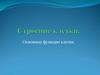 Строение клетки. Основные функции клетки