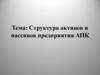 Структура активов и пассивов предприятия АПК