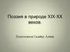 Поэзия в природе XIX-XX веков