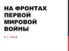 На фронтах Первой Мировой войны