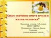 Значение пчел в жизни человека