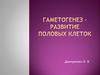 Лекция 6-7. Развитие половых клеток. Оплодотворение. Развитие зародыша