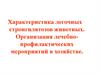 Характеристика легочных стронгилятозов животных. Организация лечебно-профилактических мероприятий в хозяйстве