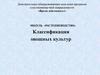 Классификация овощных культур. Занятие 4