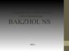 Товарищество с ограниченной ответственностью "Bakzhol NS"