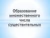 Образование множественного числа существительных