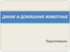 Дикие и домашние животные