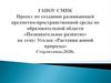 Проект по созданию развивающей предметно-пространственной среды по образовательной области «Познавательное развитие»