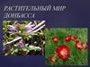 Растительный мир Донбасса