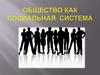 Общество как социальная система