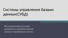 Системы управления базами данных (СУБД)