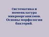 Cистематика и истематика и номенклатура микроорганизмов.. Основ.ы морфологии морфологии бактерий