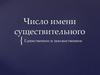 Число имени существительного