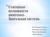 Сенсорные возможности животных. Зрительная система