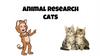 Animal research cats