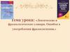 Лексические и фразеологические словари. Ошибки в употреблении фразеологизмов