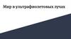 Мир в ультрафиолетовых лучах
