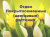 Отдел покрытосеменные (цветковые) растения