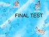 Final test
