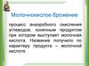 Молочнокислое брожение. Теоретический материал