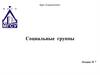 Социальные группы. Виды социальных групп. Групповая динамика. Организационный конфликт. (Лекция 7)