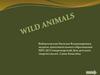 Wild animals