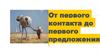 От первого контакта до первого предложения