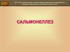 Острые кишечные инфекции. Сальмонеллез