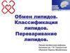 Обмен липидов. Классификация липидов. Переваривание липидов
