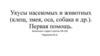 Укусы насекомых и животных (клещ, змея и др.). Первая помощь