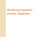 Животные живого уголка. Задания