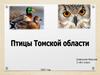 Птицы Томской области
