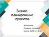 Бизнес-планирование проектов