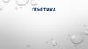Генетика. Ген
